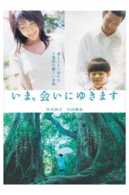 いま、会いにゆきます – 2004 – Online In Netflix