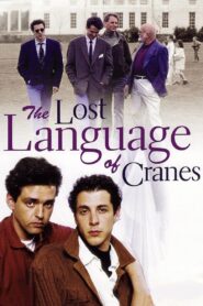 The Lost Language of Cranes – 1992 – Online In Netflix