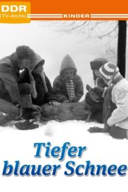 Tiefer blauer Schnee – 1981 – Online In Netflix