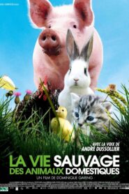 La vie sauvage des animaux domestiques – 2010 – Online In Netflix