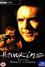 Hawkins – 2001 – Online In Netflix