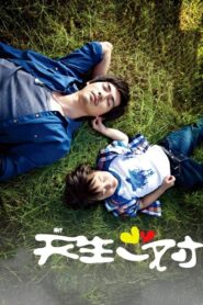 新天生一對 – 2012 – Online In Netflix