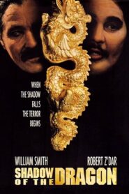 Shadow of the Dragon – 1992 – Online In Netflix