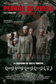 Naturaleza Salvaje – 2019 – Online In Netflix