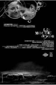 Les Moutons de Jacob – 2005 – Online In Netflix