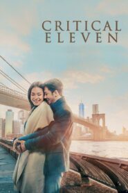 Critical Eleven – 2017 – Online In Netflix