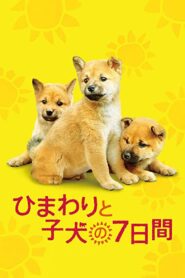 ひまわりと子犬の7日間 – 2013 – Online In Netflix