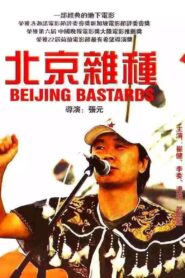 北京杂种 – 1993 – Online In Netflix