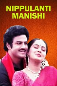 నిప్పులాంటి మనిషి – 1986 – Online In Netflix