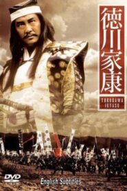 Tokugawa Ieyasu – 1988 – Online In Netflix