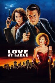 Love at Large – 1990 – Online In Netflix