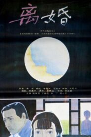 离婚 – 1992 – Online In Netflix