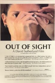 Out of Sight – 1995 – Online In Netflix