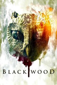 Blackwood – 2014 – Online In Netflix