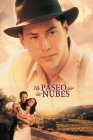 Un paseo por las nubes – 1995 – Online In Netflix