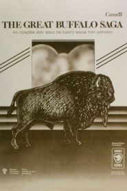The Great Buffalo Saga – 1985 – Online In Netflix