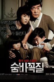 숨바꼭질 – 2013 – Online In Netflix