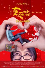 真爱好妈 – 2023 – Online In Netflix
