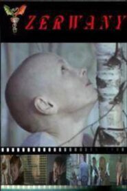Zerwany – 2003 – Online In Netflix