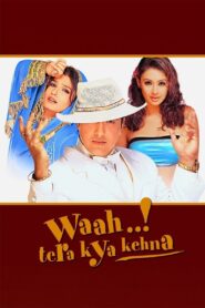 Waah! Tera Kya Kehna – 2002 – Online In Netflix
