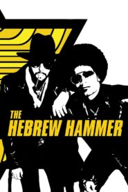 The Hebrew Hammer – 2003 – Online In Netflix