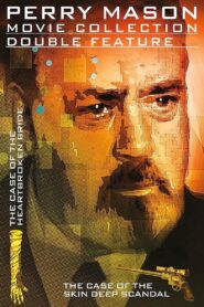 Perry Mason: The Case of the Heartbroken Bride – 1992 – Online In Netflix