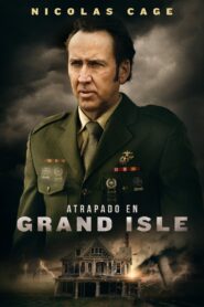 Maldad Oculta – 2019 – Online In Netflix