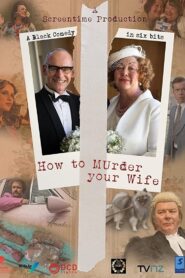 How to Murder Your Wife – 2015 – Online In Netflix