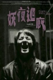 妖夜迴廊 – 2003 – Online In Netflix