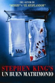 A Good Marriage – 2014 – Online In Netflix