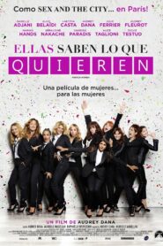 Sous les jupes des filles – 2014 – Online In Netflix