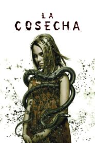 Prueba de fe – 2007 – Online In Netflix