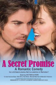 Mi Billonario Secreto – 2009 – Online In Netflix