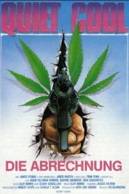 Quiet Cool – 1986 – Online In Netflix