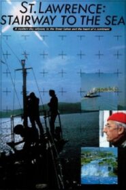 Saint-Laurent : Escalier vers la mer – 1982 – Online In Netflix