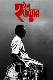 Wheel Chair – 1994 – Online In Netflix