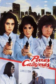 Perras callejeras – 1985 – Online In Netflix