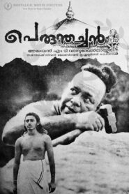 പെരുന്തച്ചൻ – 1991 – Online In Netflix