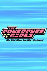 The Powerpuff Girls: Who, What, Where, How, Why… Who Cares? – 2009 – Online In Netflix