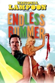 National Lampoon Presents: Endless Bummer – 2009 – Online In Netflix