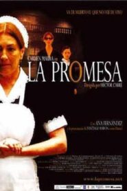 La promesa – 2004 – Online In Netflix
