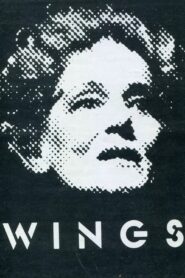 Wings – 1983 – Online In Netflix