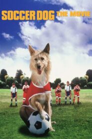 El Perro Futbolista – 1999 – Online In Netflix