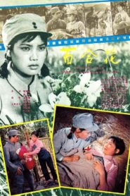 百合花 – 1981 – Online In Netflix