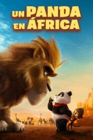 Un panda en África – 2024 – Online In Netflix