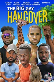The Big Gay Hangover – 2017 – Online In Netflix