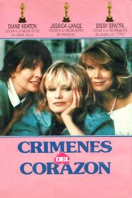 Crimes of the Heart – 1986 – Online In Netflix