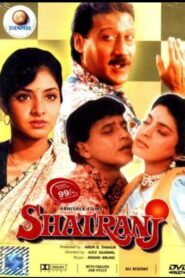 Shatranj – 1993 – Online In Netflix