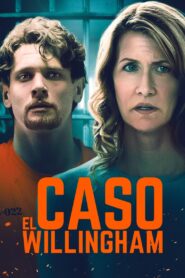 Willingham: Prueba de fuego – 2019 – Online In Netflix