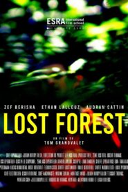 Lost Forest – 2022 – Online In Netflix